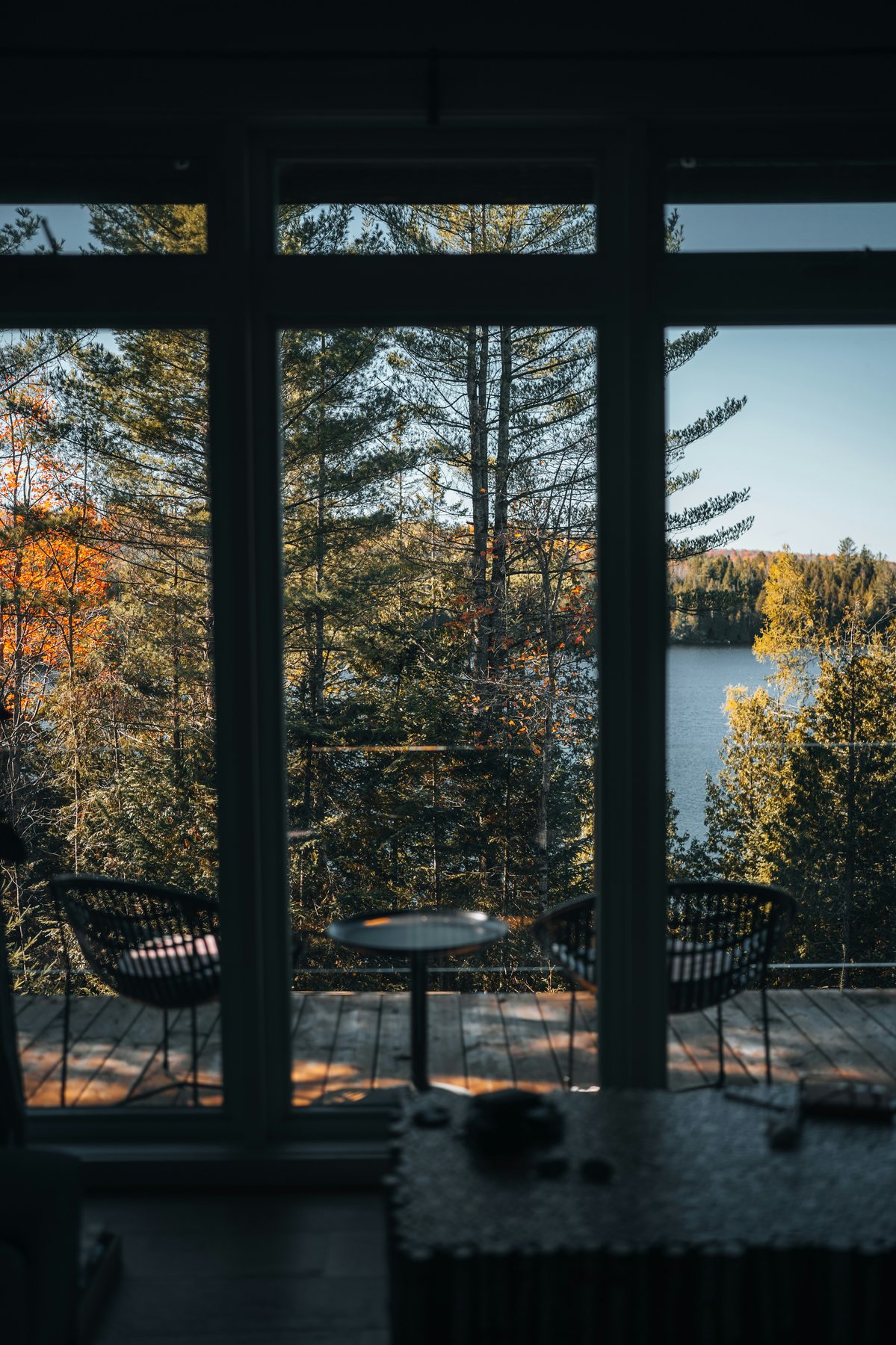 Forest and lake view from a cabin interior